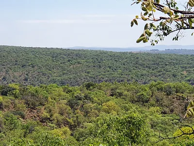 Vacant Land For Sale in Nylsoog Wind and  Eco Estate, Bela Bela - EDgP.webp
