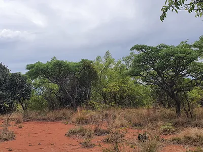 Vacant Land For Sale in Nylsoog Wind and  Eco Estate, Bela Bela - gtlb.webp