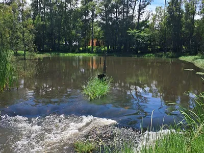 Farm For Sale in Bela Bela - jkUQ.webp