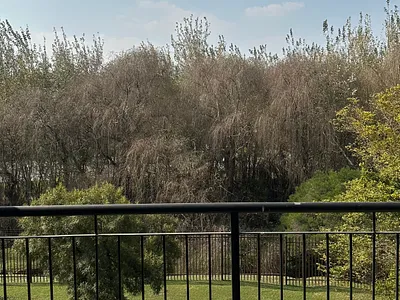 2 Bedroom Apartment To Rent in Roodepoort - njzf.webp
