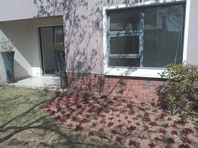2 Bedroom Apartment To Rent in Sandton - cSiT.webp