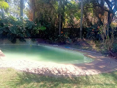 3 Bedroom House To Rent in Randburg - d0Ze.webp