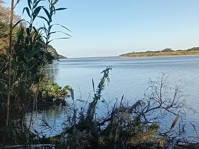 Farm For Sale in Mandeni - TQVq.webp