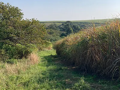Farm For Sale in Stanger - lhPu.webp