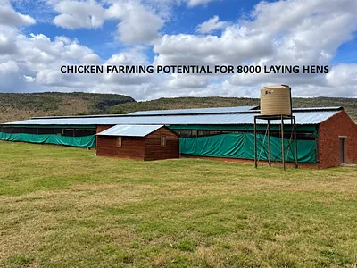 Farm For Sale in Krugersdorp - nCvZ.webp