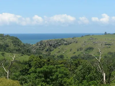 Vacant Land For Sale in Port Edward - jFvT.webp
