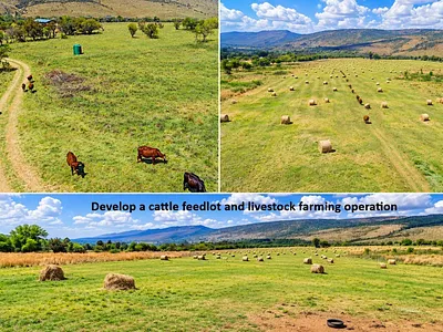 Farm For Sale in Krugersdorp - I2PJ.webp