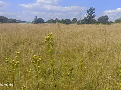 Vacant Land For Sale in Springs - k6fv.webp