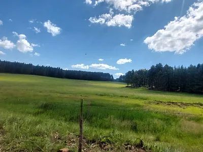Farm For Sale in Belfast - muD2.webp