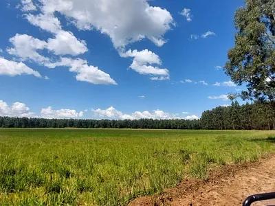 Farm For Sale in Belfast - vp3X.webp