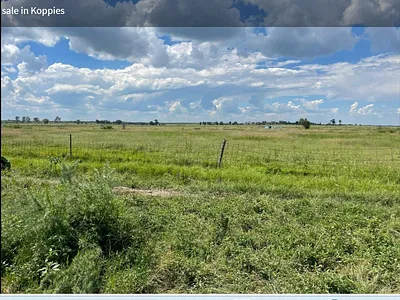 Farm For Sale in Koppies - img