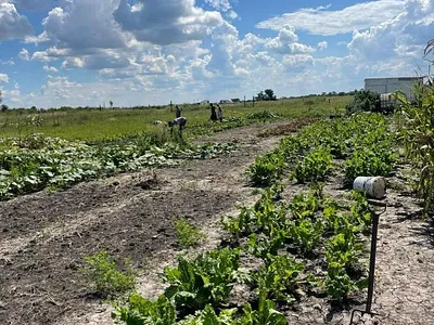 Farm For Sale in Koppies - hygt.webp