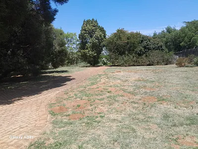 Farm For Sale in Homestead Apple Orchards, Walkerville - 8tFJ.webp