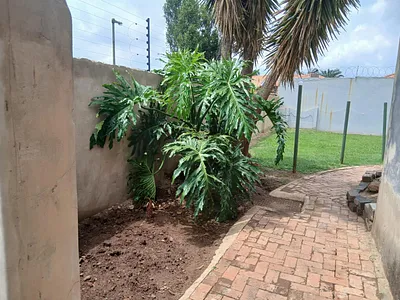 3 Bedroom House To Rent in Boksburg - C5UD.webp